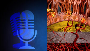 patafisiologia essudativa